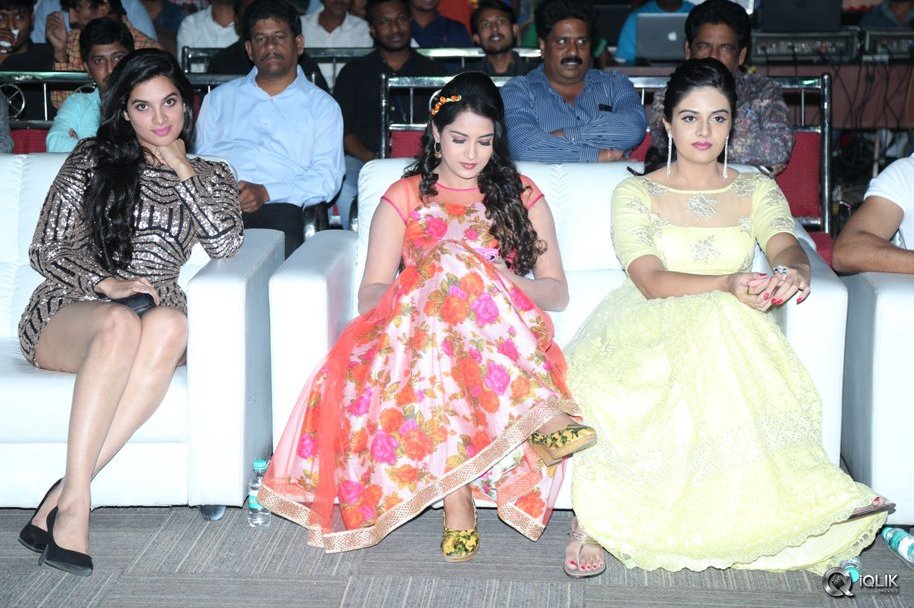 Nenu-Sailaja-Movie-Audio-Launch